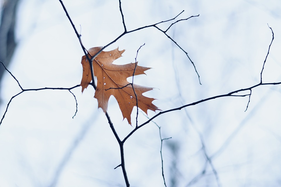 Hays sets record low; cool, rainy weather through Friday