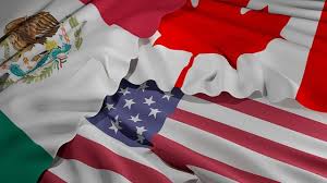 Senators seek robust enforcement of USMCA dairy agreements
