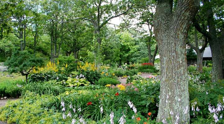 <b>Shaping up trees and shrubs is best done in the spring.</b>&nbsp;

Photo by&nbsp;<a href="https://pixabay.com/users/jamesdemers-3416/?utm_source=link-attribution&amp;utm_medium=referral&amp;utm_campaign=image&amp;utm_content=56719">JamesDeMers</a>&nbsp;from&nbsp;<a href="https://pixabay.com/?utm_source=link-attribution&amp;utm_medium=referral&amp;utm_campaign=image&amp;utm_content=56719">Pixabay</a>