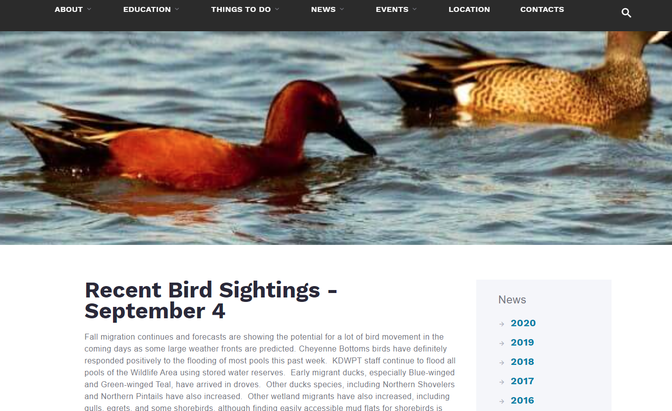 View bird sightings at Cheyenne Bottoms by visiting the Kansas Wetlands Education Center website, <a href="https://wetlandscenter.fhsu.edu/news/bird-watch/2020/recent%20bird%20sightings-september%204.html">wetlandscenter.fhsu.edu</a>.