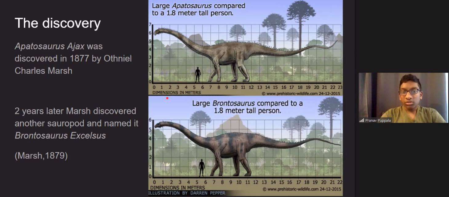 Surrey Jones, a middle school camper from Chicago, works at her family’s dining room table, surrounded by materials she received in her camp kit box for the Ancient Seas camp.