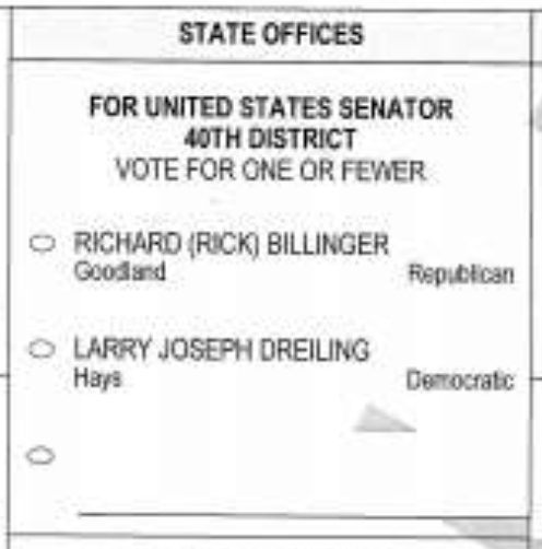 Screenshot of the incorrect ballot