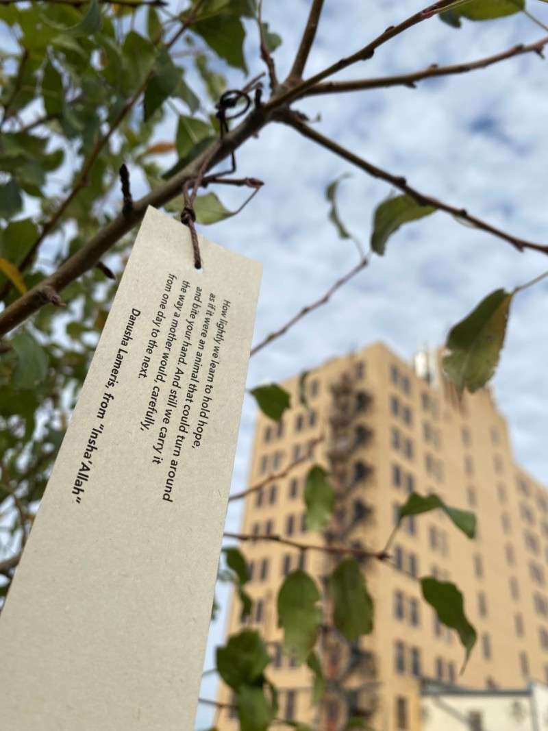 <b>The Poet Tree in downtown Salina.</b> Photo courtesy SAH