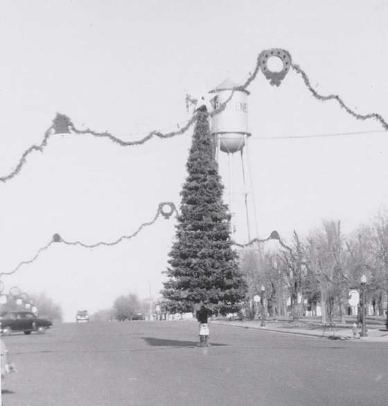 &nbsp;The Christmas tree in downtown WaKeeney in the 1950s.<br>(Photo provided by Trego County Historical Society Museum)&nbsp;&nbsp;