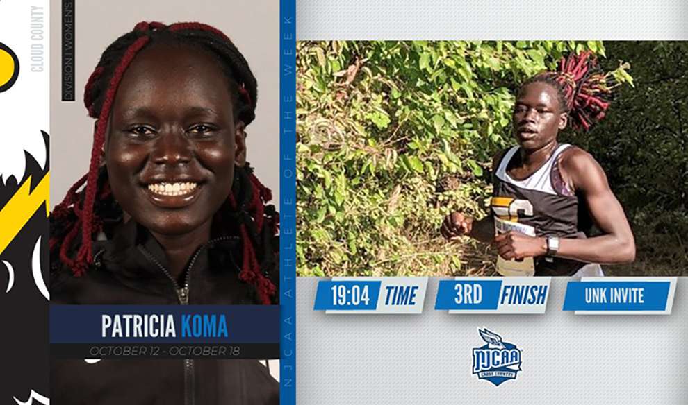 Image courtesy&nbsp;<a href="http://cloudtbirds.com">cloudtbirds.com</a>