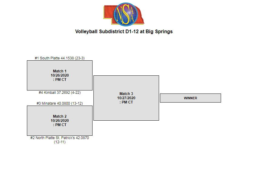 npsp volleyball 2020.PNG