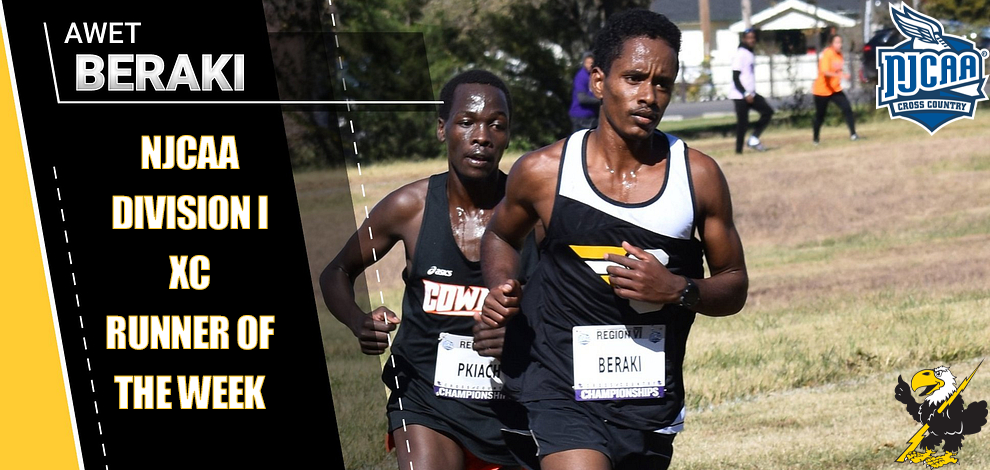 Image courtesy&nbsp;<a href="http://cloudtbirds.com">cloudtbirds.com</a>