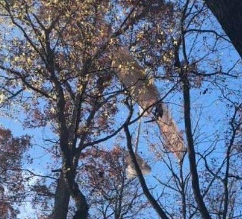 The tree became stuck in the tree during a crash -photo Lincoln County Fire and Rescue