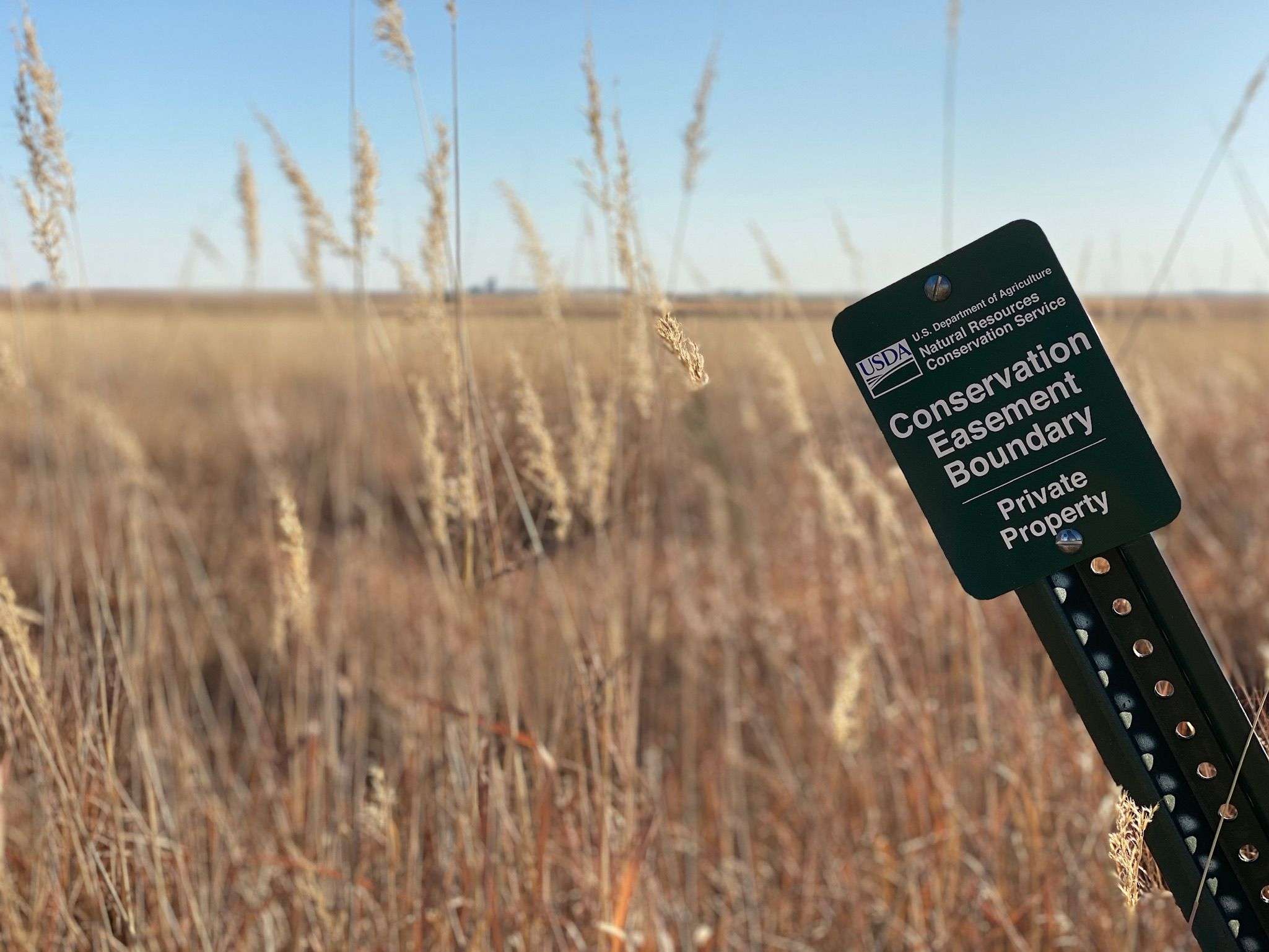 Ducks Unlimited Wetland Reserve Easement Project near Colby