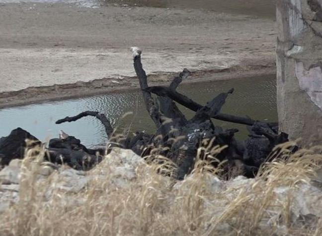 Fire damage near the bridge-photo by Phil Anderson courtesy WIBW TV