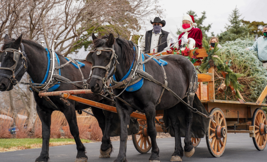 Santa wore a mask to help deliver the tree on Tuesday.