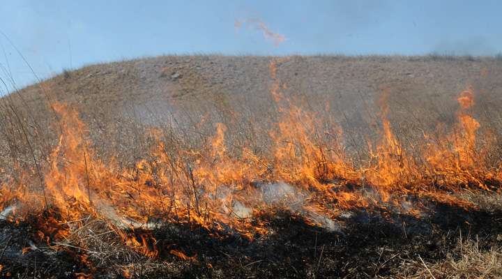 <b>K-State researchers are studying how to better utilize rangeland controlled burns.</b> Photo courtesy KSRE