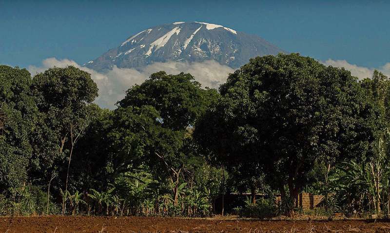 Mount Kilimanjaro. Photo by&nbsp;Erasmus Kamugisha, <a href="https://creativecommons.org/licenses/by-sa/4.0">CC BY-SA 4.0</a>