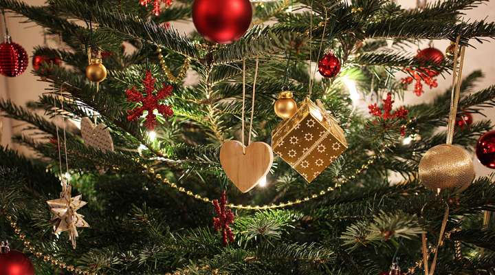 Christmas tree image by&nbsp;<a href="https://pixabay.com/users/exposuretoday-1250896/?utm_source=link-attribution&amp;utm_medium=referral&amp;utm_campaign=image&amp;utm_content=2994875">ExposureToday</a>&nbsp;from&nbsp;<a href="https://pixabay.com/?utm_source=link-attribution&amp;utm_medium=referral&amp;utm_campaign=image&amp;utm_content=2994875">Pixabay</a>
