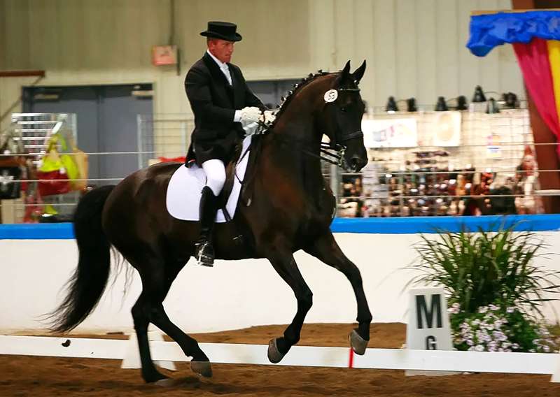 <b>J.T. Burnley's experience at a Saint Francis Ministries boys home in Ellsworth helped him harness the talent that would make him an international dressage competitor. </b>(Submitted)