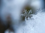 Snow Emergency  issued for North Platte