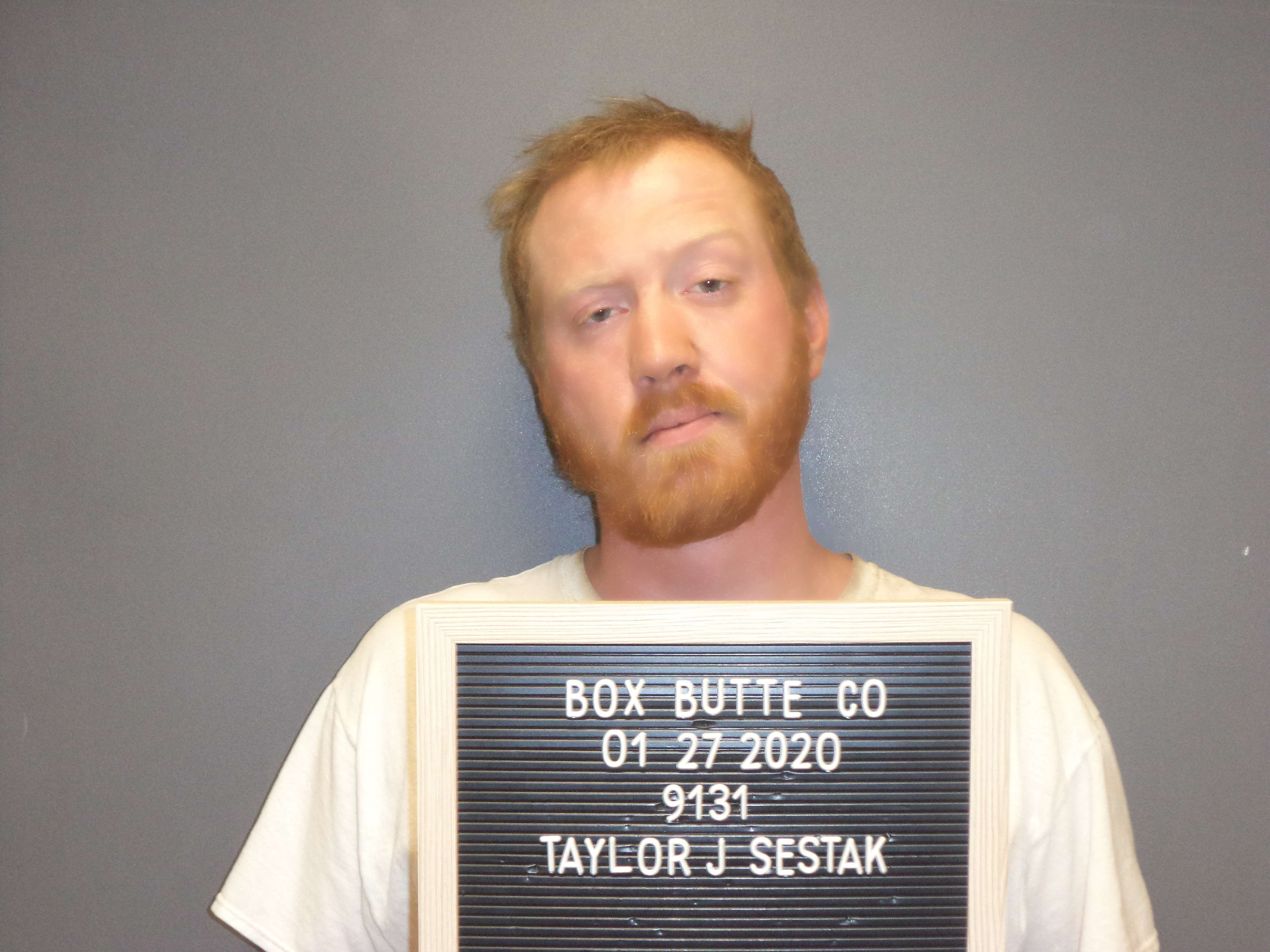-Taylor Sestak, Class 2A Felony, Burglary, Class 2 Misdemeanor, Theft-rcv stolen prop $0-500, Class 1 Misdemeanor, Resist arrest 1st offense