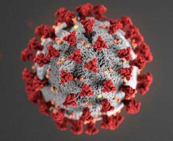 Coronavirus&nbsp; -CDC image