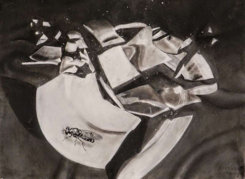 <b>Art by&nbsp;Aleigha Haller.</b>