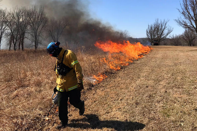 Drew Dobbeleare, a natural resource technician with Johnson County Parks and Recreation District, begins a burn on a native prairie in Shawnee Mission Park. Matt Garrett / Johnson County Parks and Recreation District