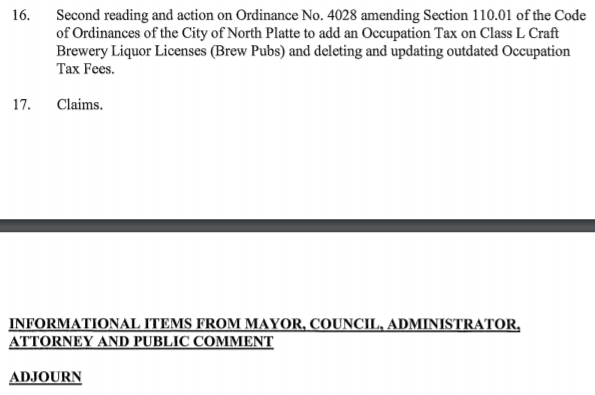 city council 4 7 20 4.PNG