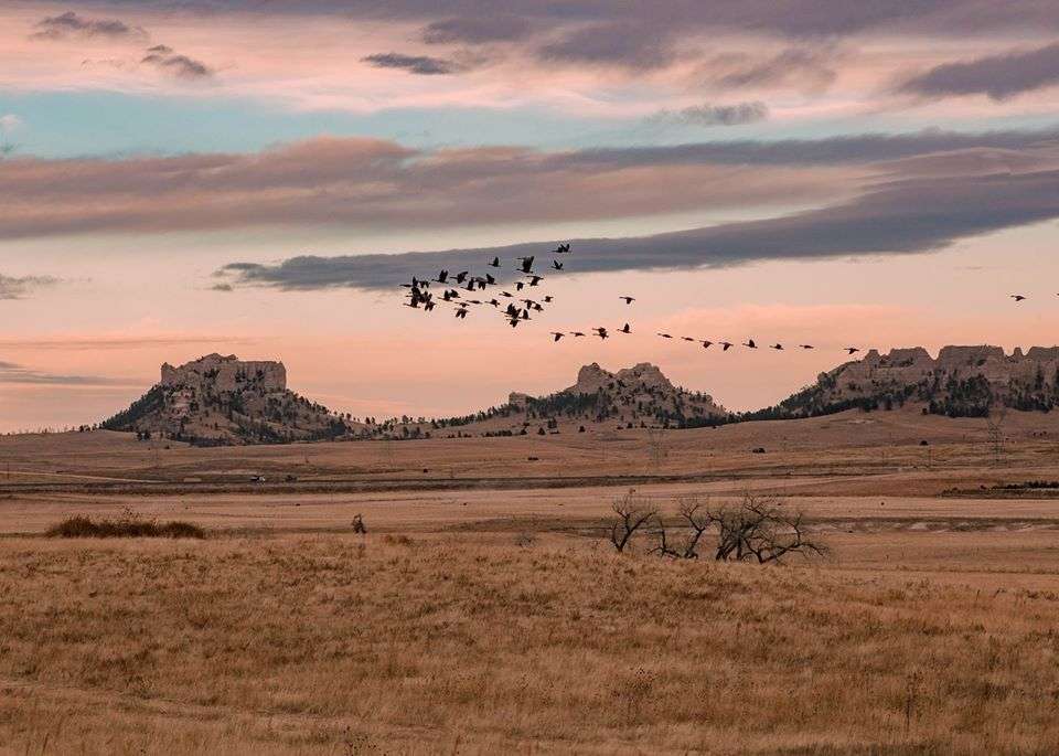 Photo courtesy: Great Plains James