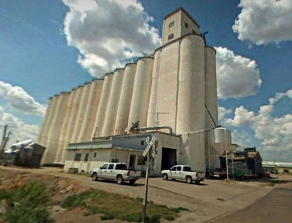 Google image