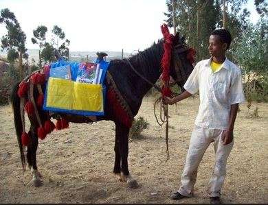 <b>An Ethiopia Reads horseback library.</b> Photo courtesy KSRE