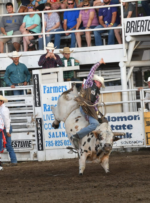 Central Kansas Free Fair board cancels public events for 2020