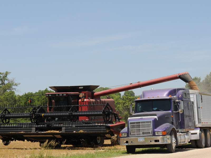 <b>Women Managing the Farm, a program that helps prepare farm women to successfully participate in multiple roles, will host a webinar on June 17 to discuss the implications of the COVID-19 pandemic on U.S. and global economies. </b>File photo courtesy KSRE