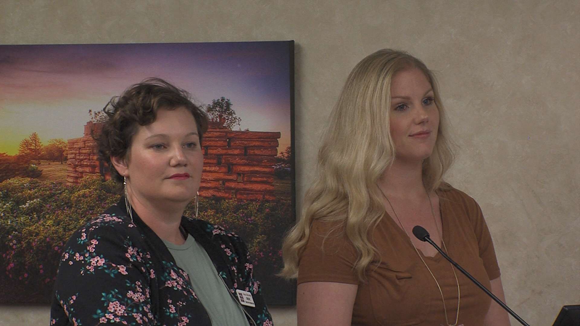 Sara Bloom, DHDC exec. dir., and Sarah Cearley, DHDC board president, told city commissioners the coronavirus is responsible for a $20,000 income loss for DHDC so far this year.