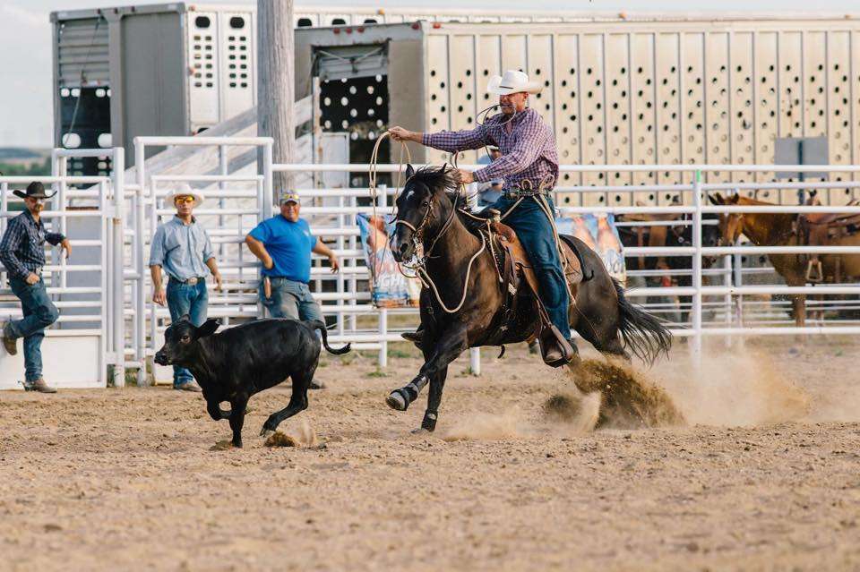 Ellis County Fair rodeo / Courtesy photo