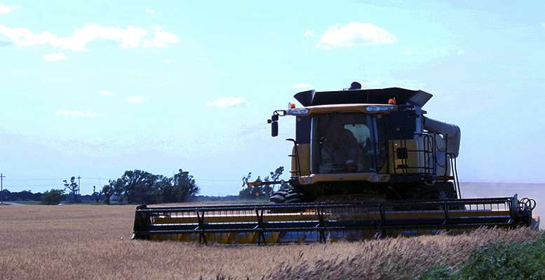 Warm, dry, breezy weather will likely mean wheat harvest in Ellis County will be complete by the end of the week. Cristina Janney/Hays Post