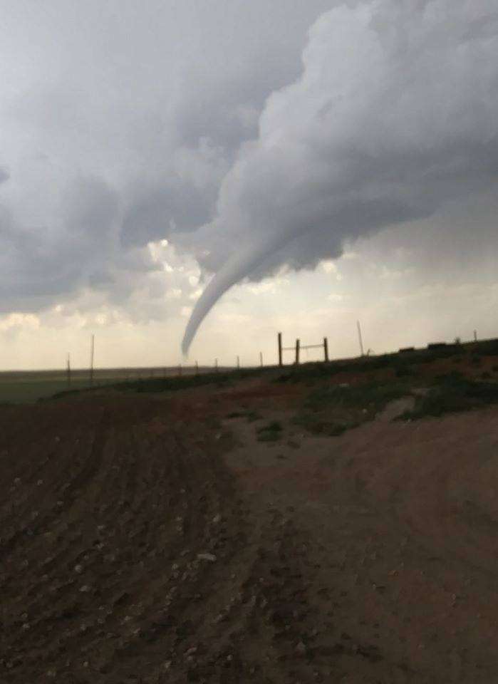 Photo By Madison Dietrich