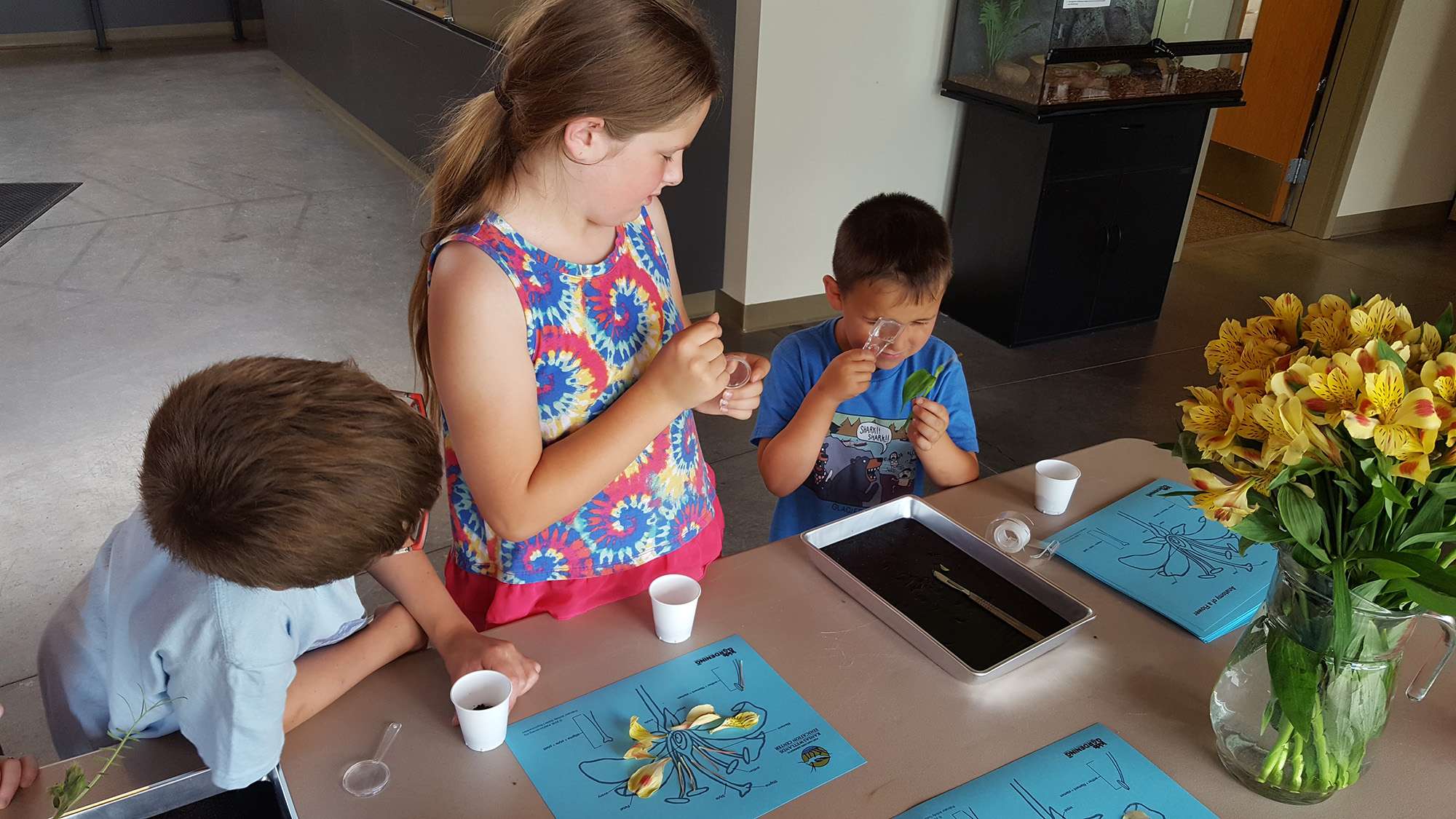 <b>Visitors at a pollinator themed Drop-In STEM dissected flowers learning how a seed is formed. </b>Photo courtesy FHSU