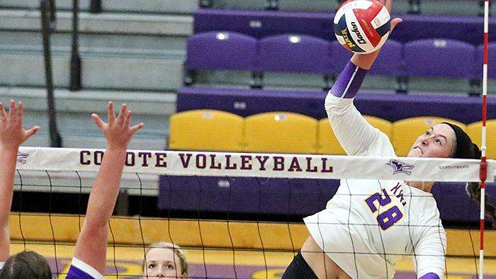 KWU volleyball's Morgan Bryand. Photos courtesy <a href="http://kwucoyotes.com">kwucoyotes.com</a>