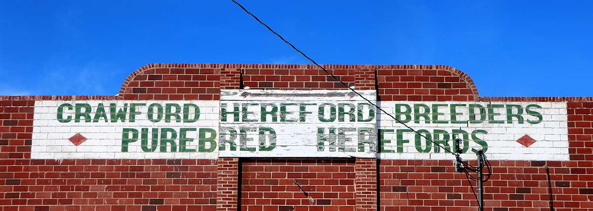 Courtesy photo: Linda Teahon of the Crawford Hereford Breeders Association sale barn