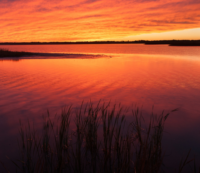 A spectacular sunset sets the waters of Quivira National Wildlife Refuge ablaze in November 2014. (Submitted by Mike Umscheid to Kansas Reflector)