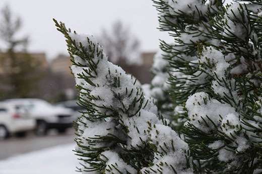 <b>We're not here yet...but assistant state climatologist Mary Knapp said you should be preparing your house and car for when the weather turns cold and icy. </b>Photo courtesy KSRE