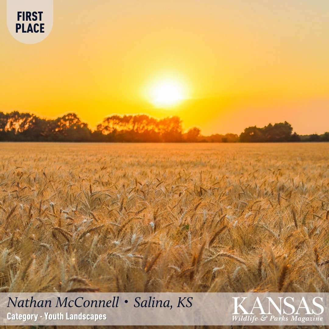Image courtesy KDWPT
