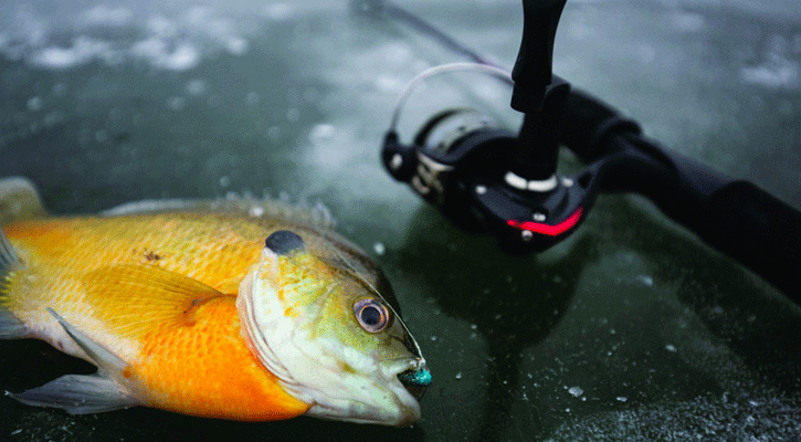 A spinning rod and reel is the popular choice of equipment used for ice-fishing. (Nebraskaland Magazine/NGPC)