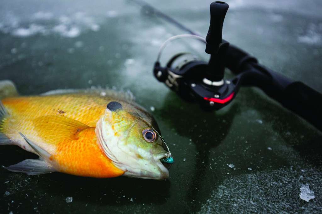 A spinning rod and reel is the popular choice of equipment used for ice-fishing. (Nebraskaland Magazine/NGPC)