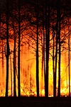 Study: Wildfires produced up to half of pollution in US West