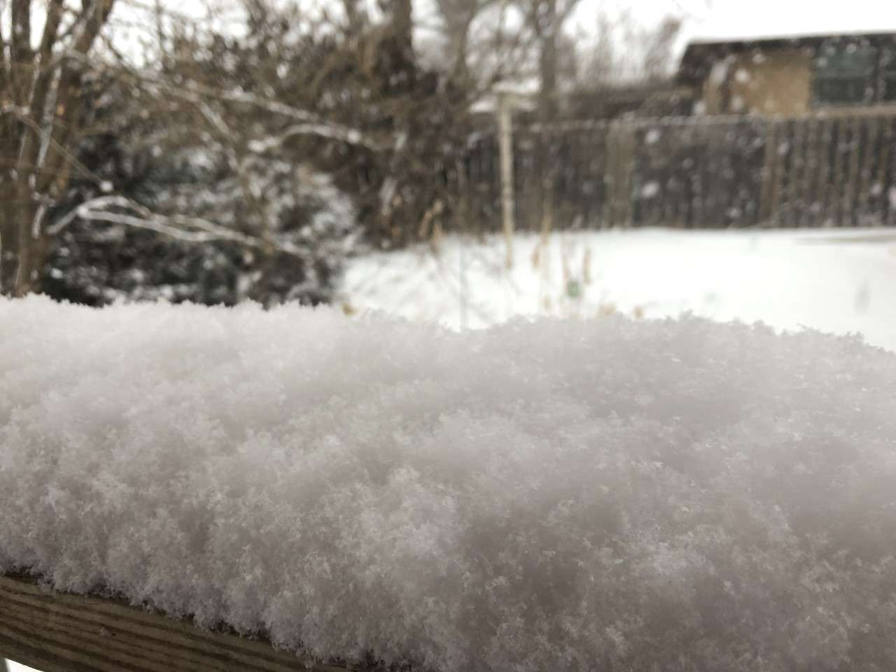 Monday's snowfall is the first moisture measured in Hays this year.
