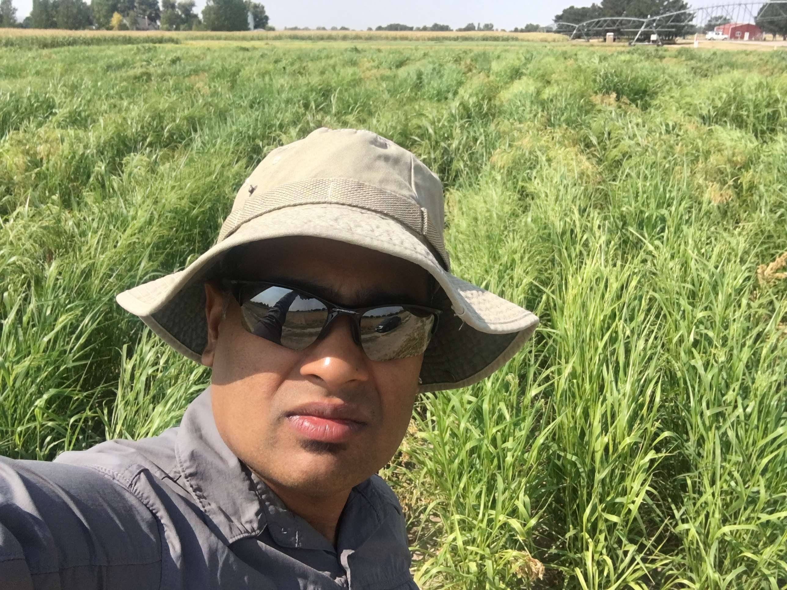 Rituraj Khound in front of proso millet plots at the Panhandle Research and Extension Center at Scottsbluff.