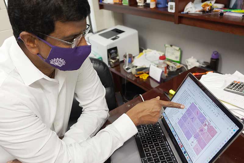 Roman Ganta and his team received a grant to help protect U.S. livestock from heartwater, a tick-borne disease. (KSU photo)
