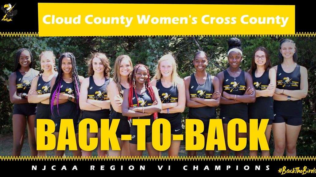 Image courtesy <a href="http://cloudtbirds.com">cloudtbirds.com</a>