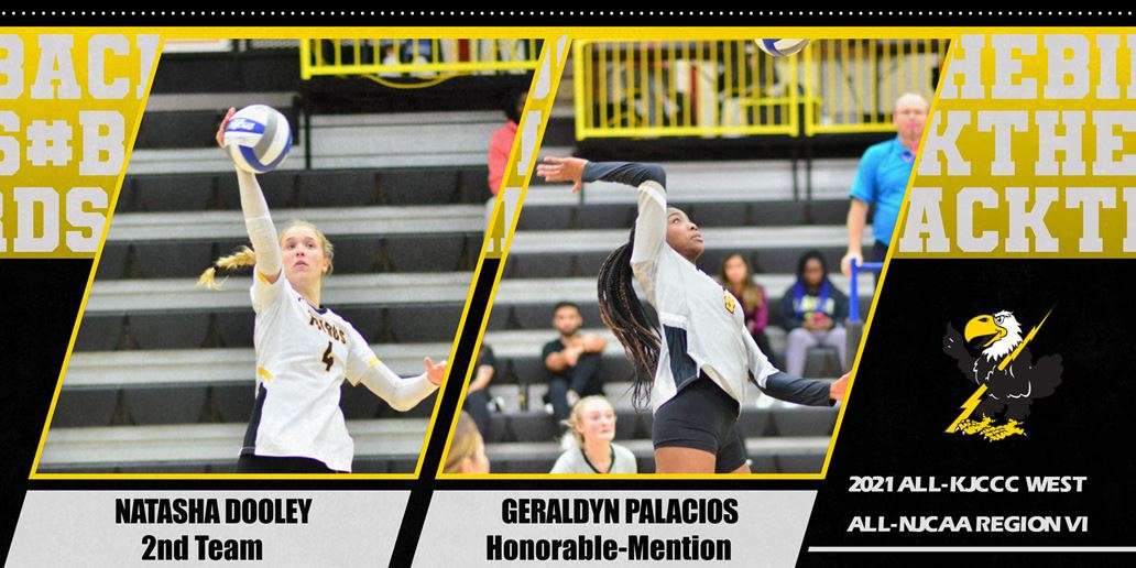 Image courtesy <a href="http://cloudtbirds.com">cloudtbirds.com</a>