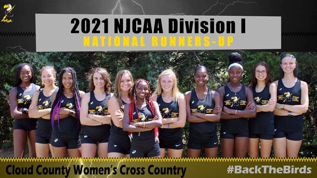 Image courtesy <a href="http://cloudtbirds.com">cloudtbirds.com</a>