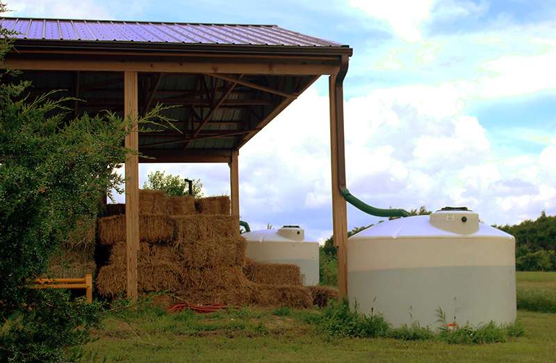 The topless high tunnels can take advantage of natural rainfall, but Hill uses soaker hoses attached to these 1,500-gallon rain barrels to supplement water for her produce during the hot, dry months.<br>